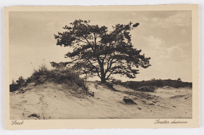 18109 Gezicht op de zandverstuiving te Soestduinen (gemeente Soest).